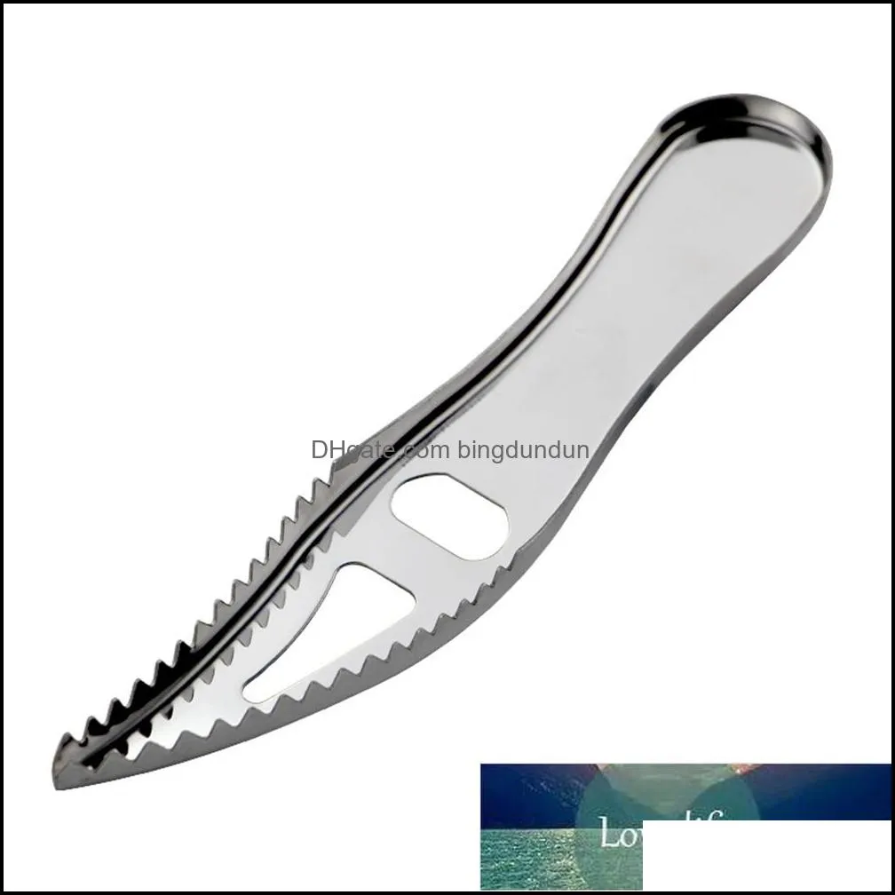 1pcs multifunctional stainless steel fishs scale scraper beer bottle opener kitchen accessories