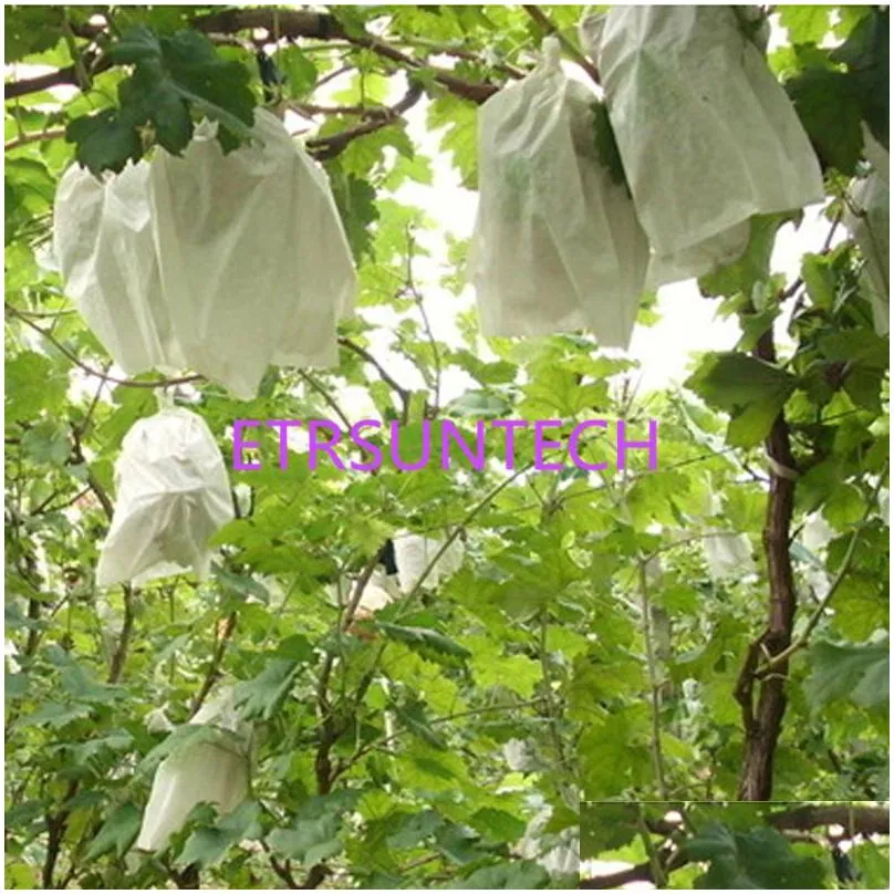 1000pcs/lot grape bag antibird moisture pest control fruit protection bags tela mosquito bag of grapes nanch porta bustine lx0245