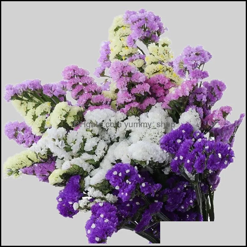 crystal grass natural  dried preserved forget me not flowers real forever lover grasses branch for home table rrd12068