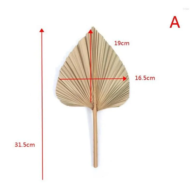 decorative flowers 1pcs diy palm fan leaf dried flower window reception party art wall hanging decoration for wedding arch arrangement