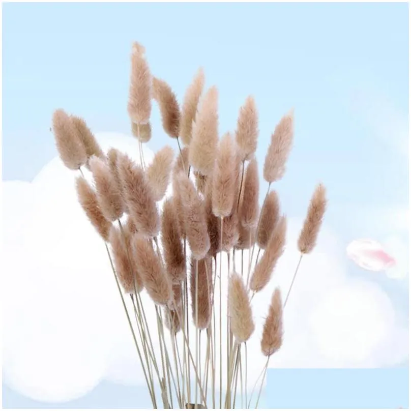 15pcs dried flowers dried grass pennisetum tail hay tail natural plants decorative flowers pastoral home deco