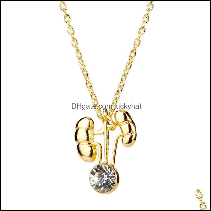 pendant necklaces kidney shape necklace jewelry gift for nephrologist/doctors gold color with crystal jewellery hormonespendant