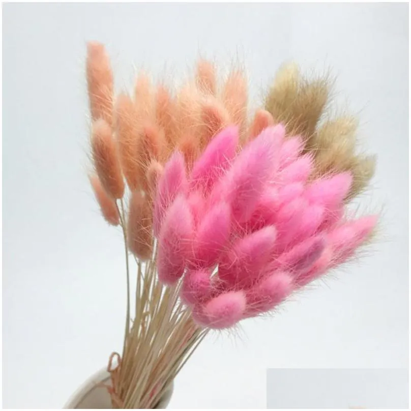 20pcs lot artificial dyeing lagurus dried flowers real ovatus bouquet for home wedding decoration fake decorative wreaths