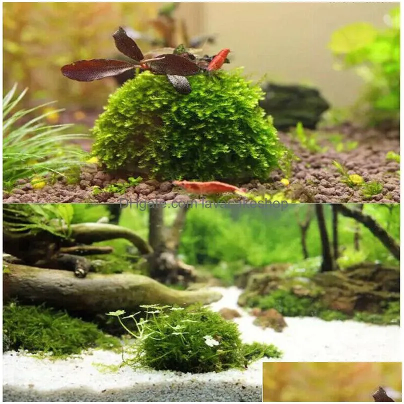 aquarium marimo moss ball live plants filter for java shrimps fish tank decorations ornaments