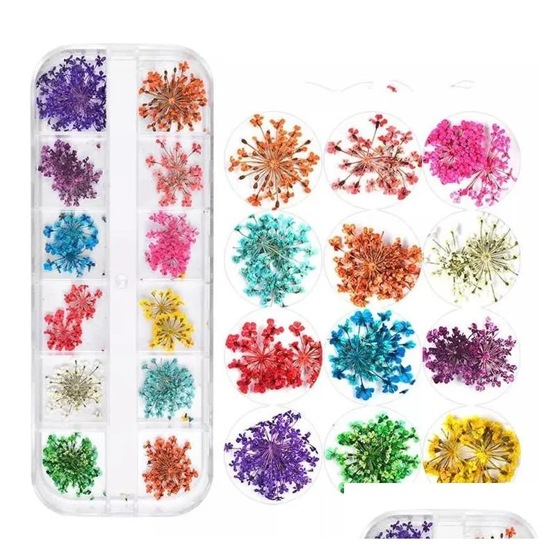 drop 12pcs/bag dried flower nail art real dry flowers nail art sticker 3d diy decorations tips for nail art different colors