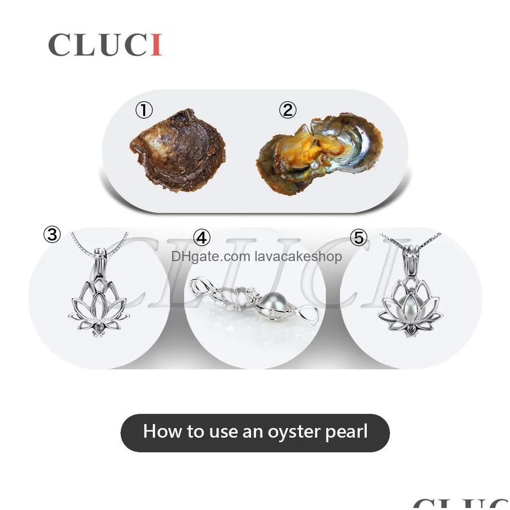 cluci 10pcs gray vacuumpacked 67mm round akoya pearls in oyster silver colors saltwater pearl oysters wp087sb t200507