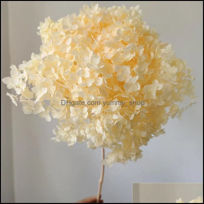 1bunch/40x20cm/30colors anna hydrangea whole branch preserved dried flower bouquet p ograph home desktop garden decoration 1275