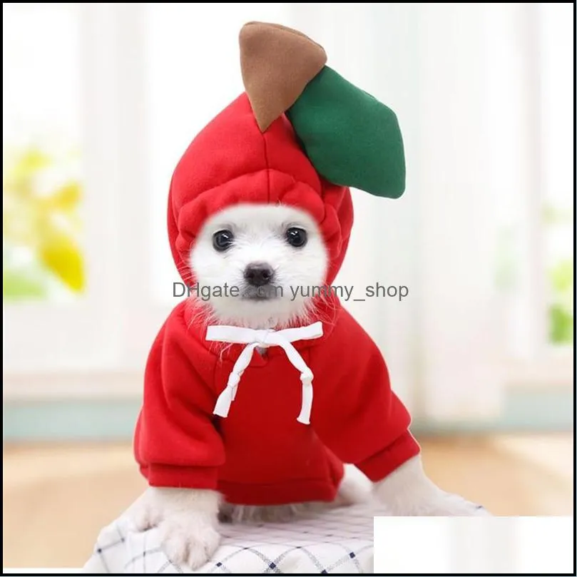 pet coats with cap fruit white radish shape sweaters lace up autumn winter warm cat puppy clothes cute fashion