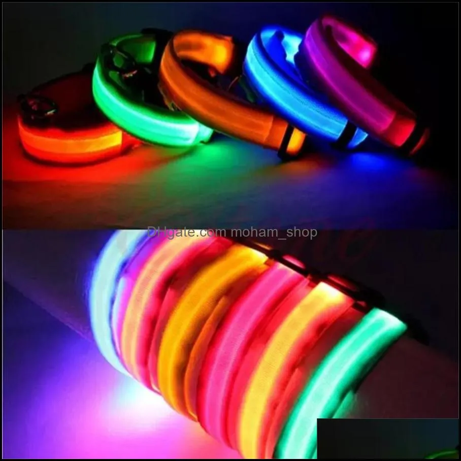 dog collars leashes led nylon pet collar night safety light flashing glow in the dark small leash