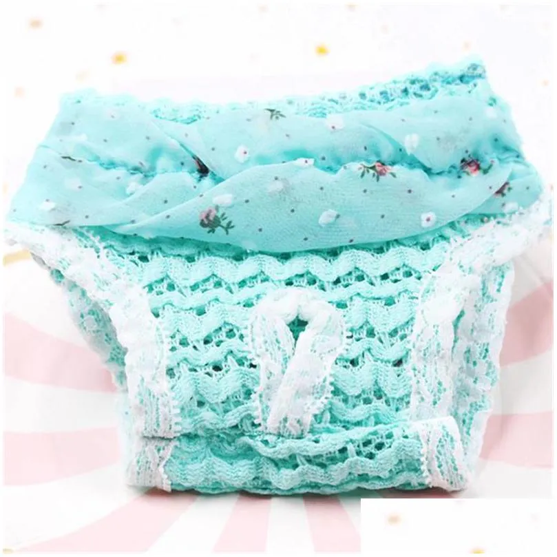 pet dog chiffon physiology hygienic pants dog shorts cat underwear puppy cute diaper lace edge pet trousers