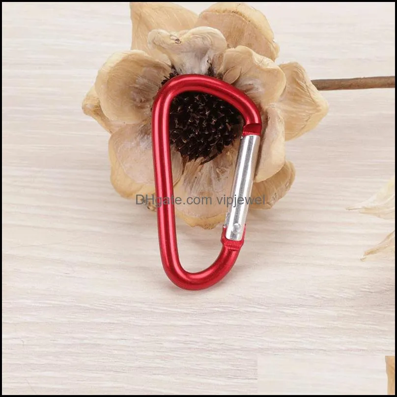 aluminum carabiner d ring spring snap hook for key rings good quality outdoor caribeaners camping keychain accessory dhs
