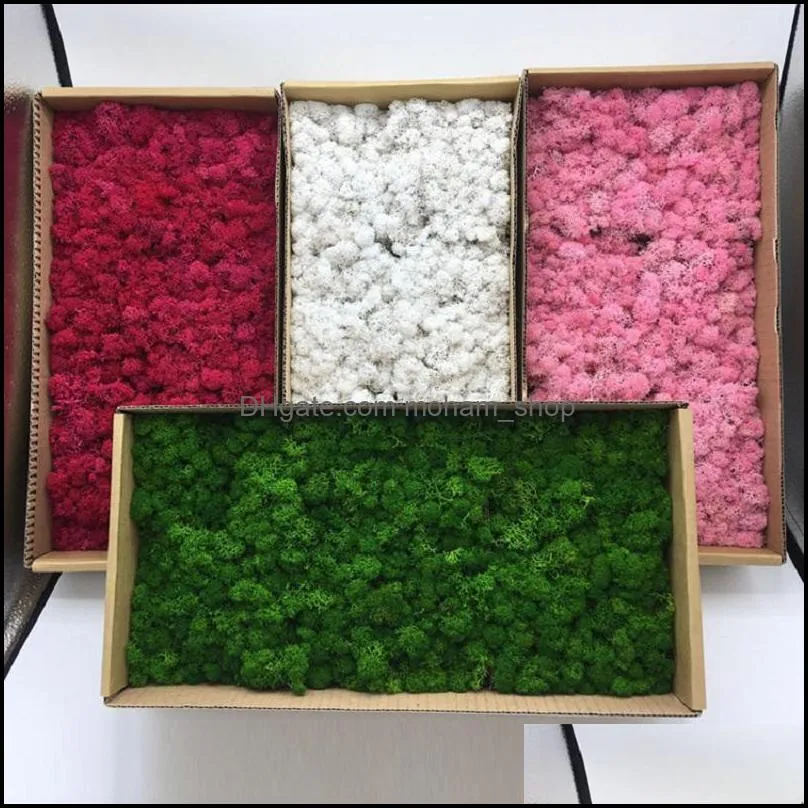 reindeer moss artificial craft flowers moss planter for wall decoration fairy gardens gift packing dressing potted plants more crafts 500