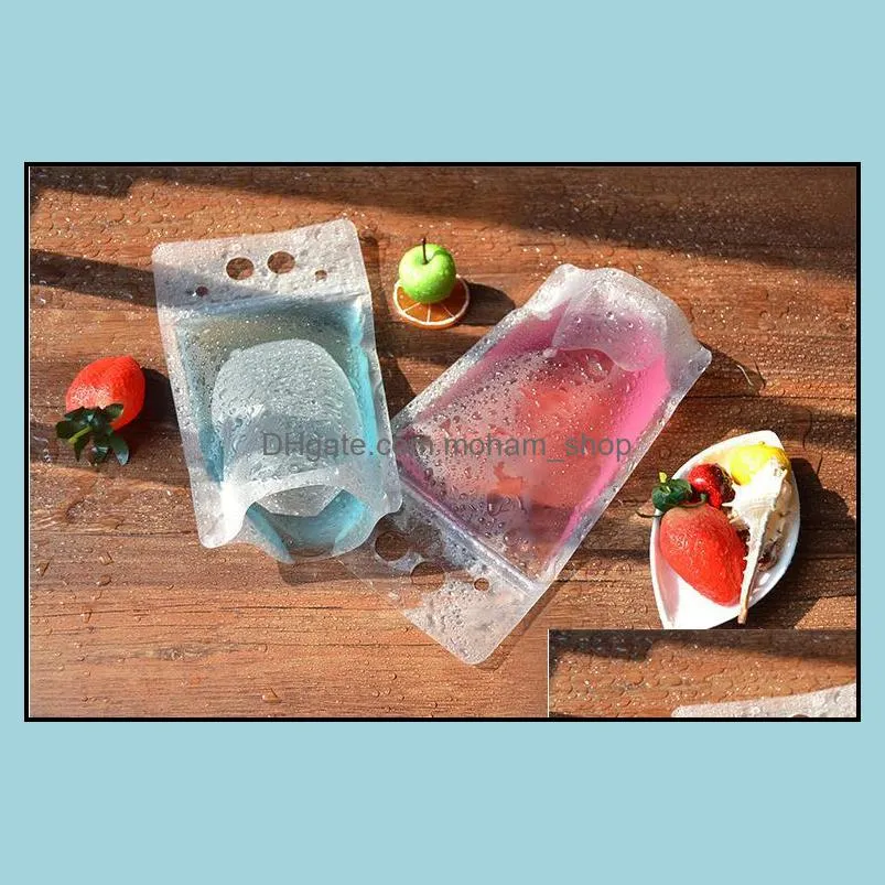 clear drink pouches bags frosted zipper standup plastic drinking bag with straw with holder reclosable heatproof sn2558