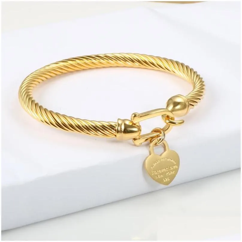 titanium steel bangle cable wire gold color love heart charm bangle bracelet with hook closure for women men wedding jewelry gifts1