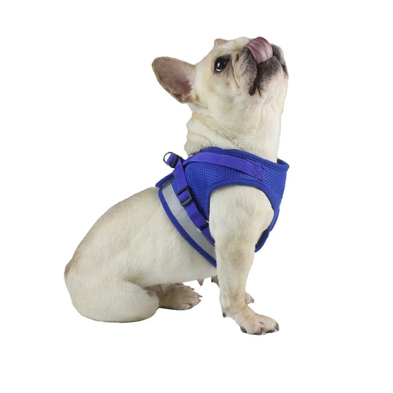  breathable mesh small dog pet harness and leash set puppy cat vest harness collar for chihuahua pug bulldog cat arnes perro