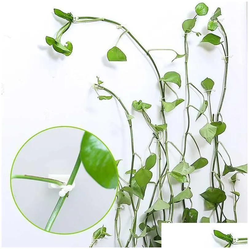  plant climbing wall self-adhesive fastener tied fixture vine buckle hook garden plant wall climbing vine clips fixed buckle hook