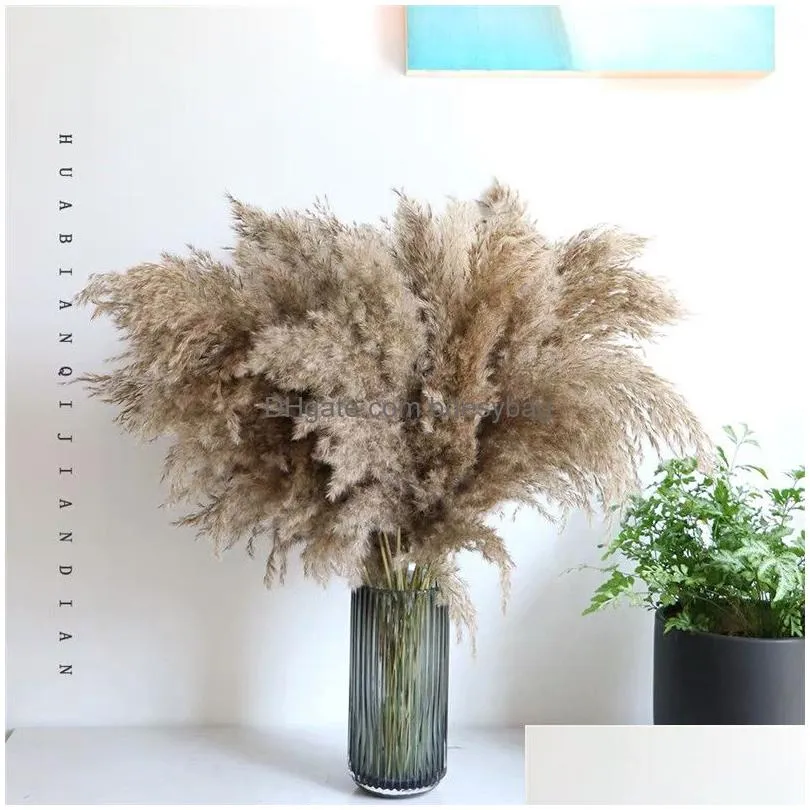 pampas grass decor pampa tall natural large fluffy brown stems for flower arrangements wedding home beige tall dried boho decorations