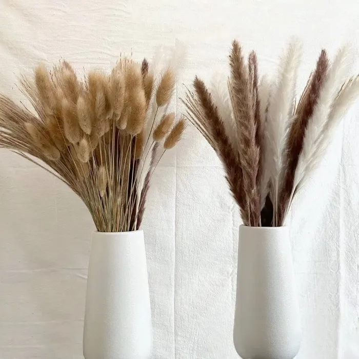 Cream Pampas Grass Fluffy Room Phragmites Decoration Natural Bunny Tail Grass Dried Flowers Bouquet Boho Home Decor