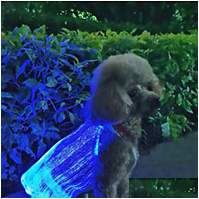led glowing cat dog apparel usb rechargeable colorful anti-lost luminous pet supplies
