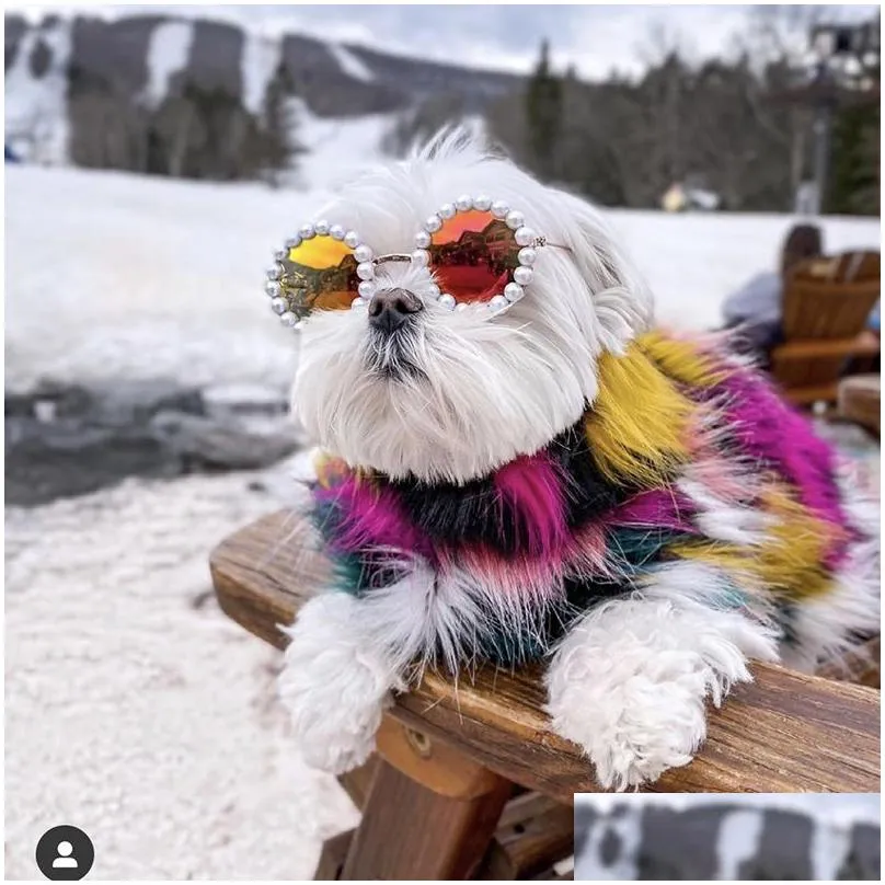 teddy bulldog schnauzer sunglasses outdoor sun glasses dog apparel for pet fashion pearl pets sunglass dogs accessories350m