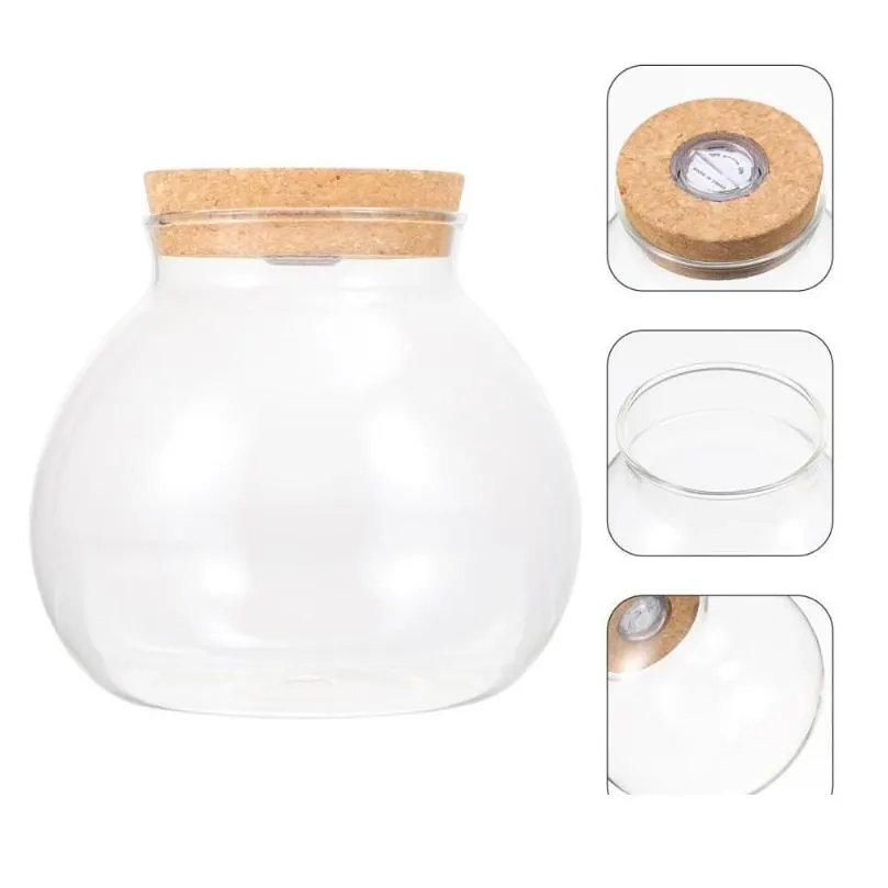 Vases DIY Landscape Terrarium Bottle Container Glass