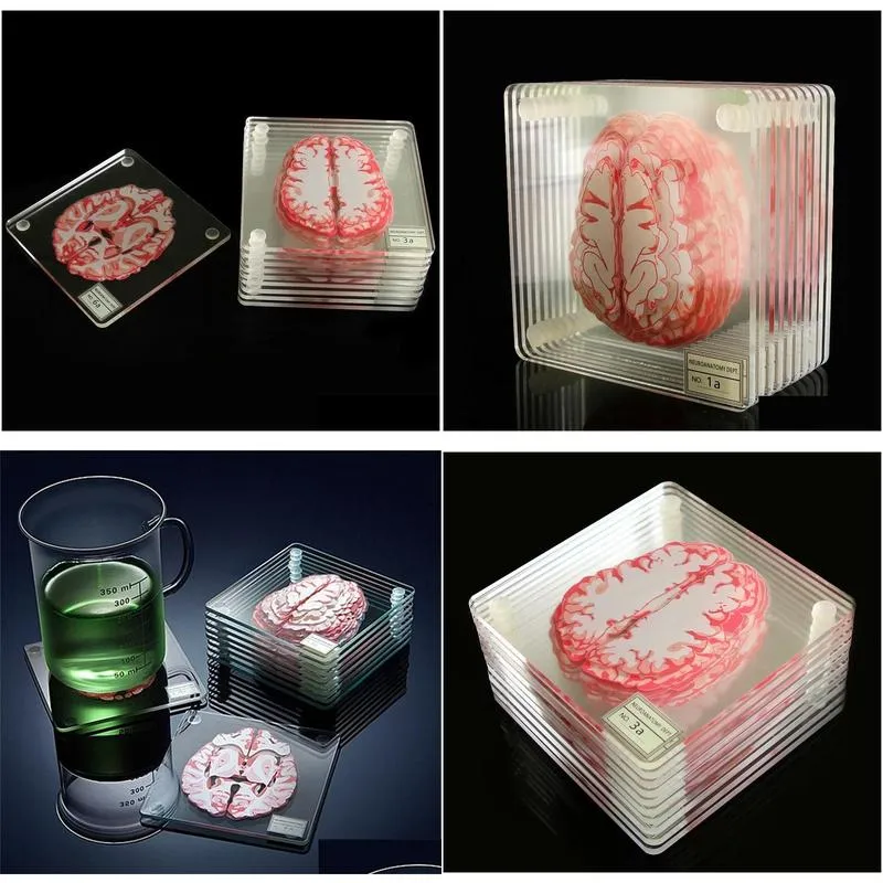 201125 coasters glass square brain slices specimen set acrylic table brain organ artwork 3d drinks scientists drunk gift coaster jllar