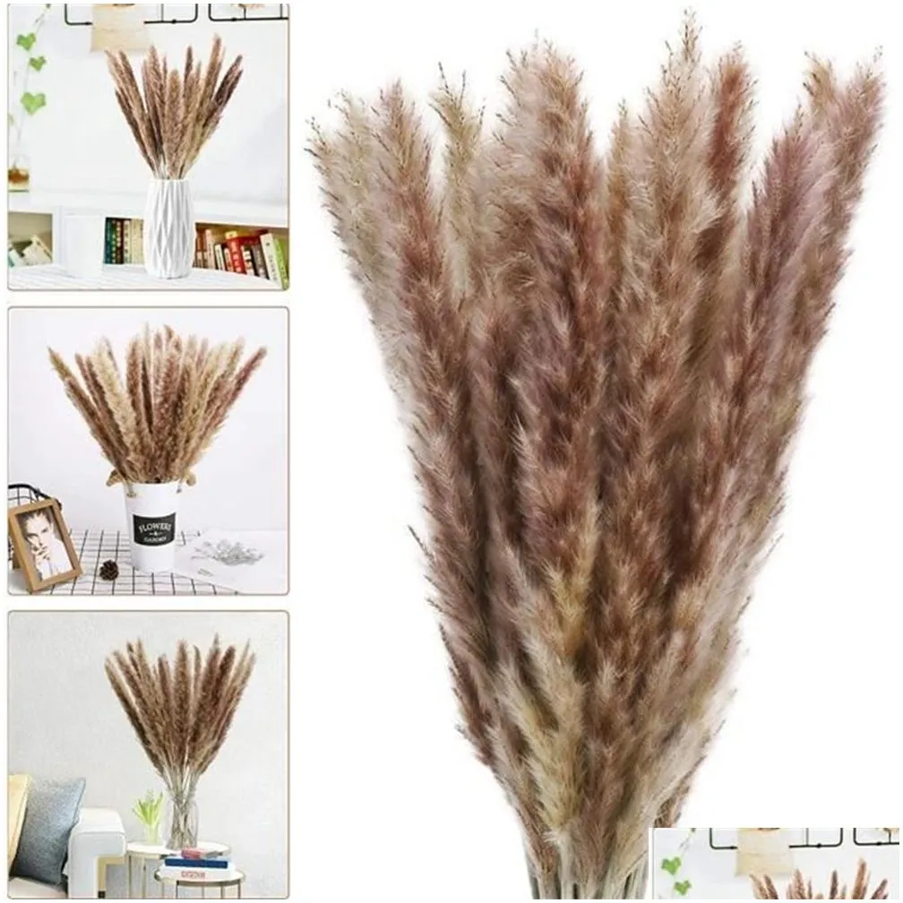 100Pcs/lot Cream Pampas Grass Fluffy Room Phragmites Decoration Natural Bunny Tail Grass Dried Flowers Bouquet Boho Home Decor