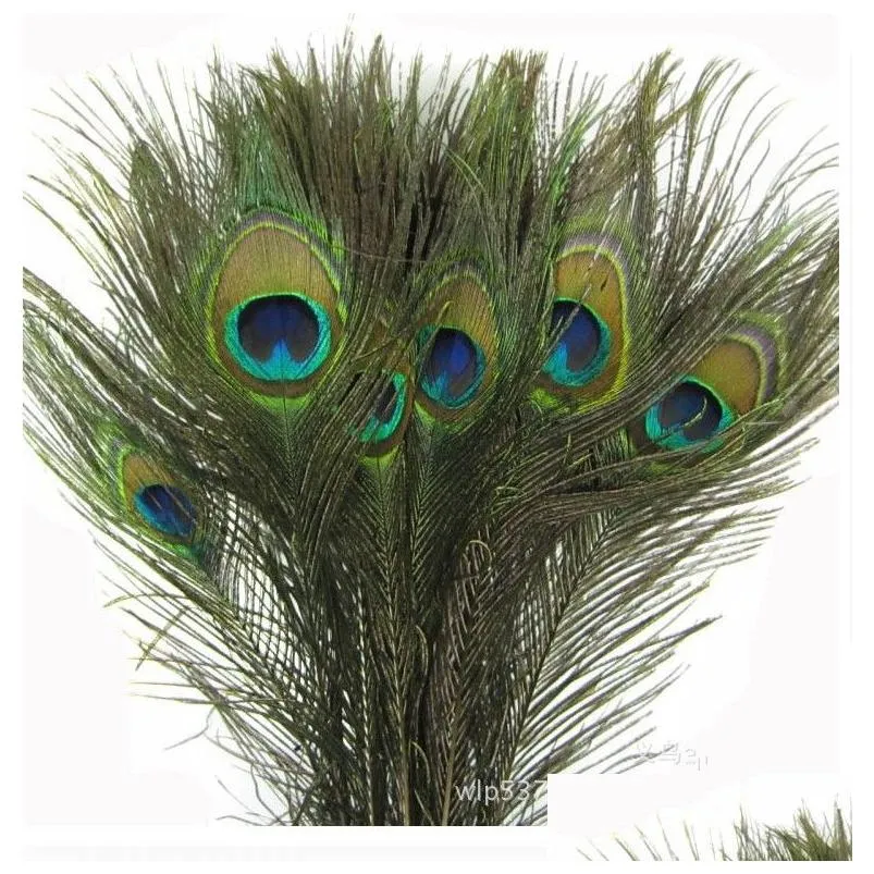 2016 elegant decorative materials real natural peacock feather beautiful feathers about 25 to 30 cm 