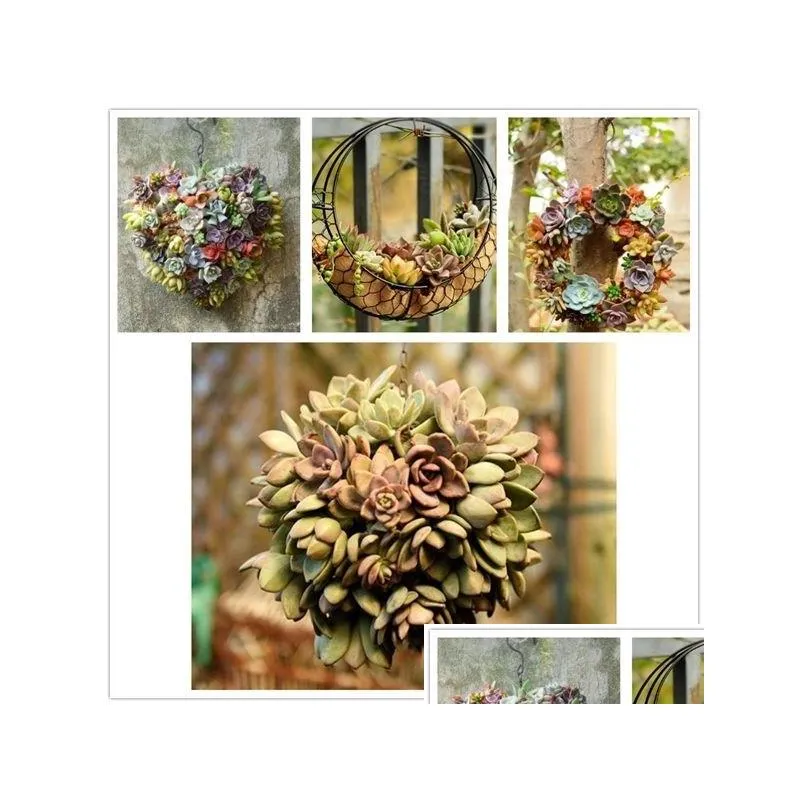 rustic iron wire wreath frame succulent pot iron hanging planter plant holder plants are not included c1111