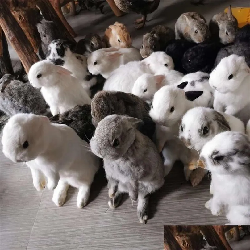 taxidermy stuffing rabbit teaching specimen collection bunny fur home decor 1pcs random t200909