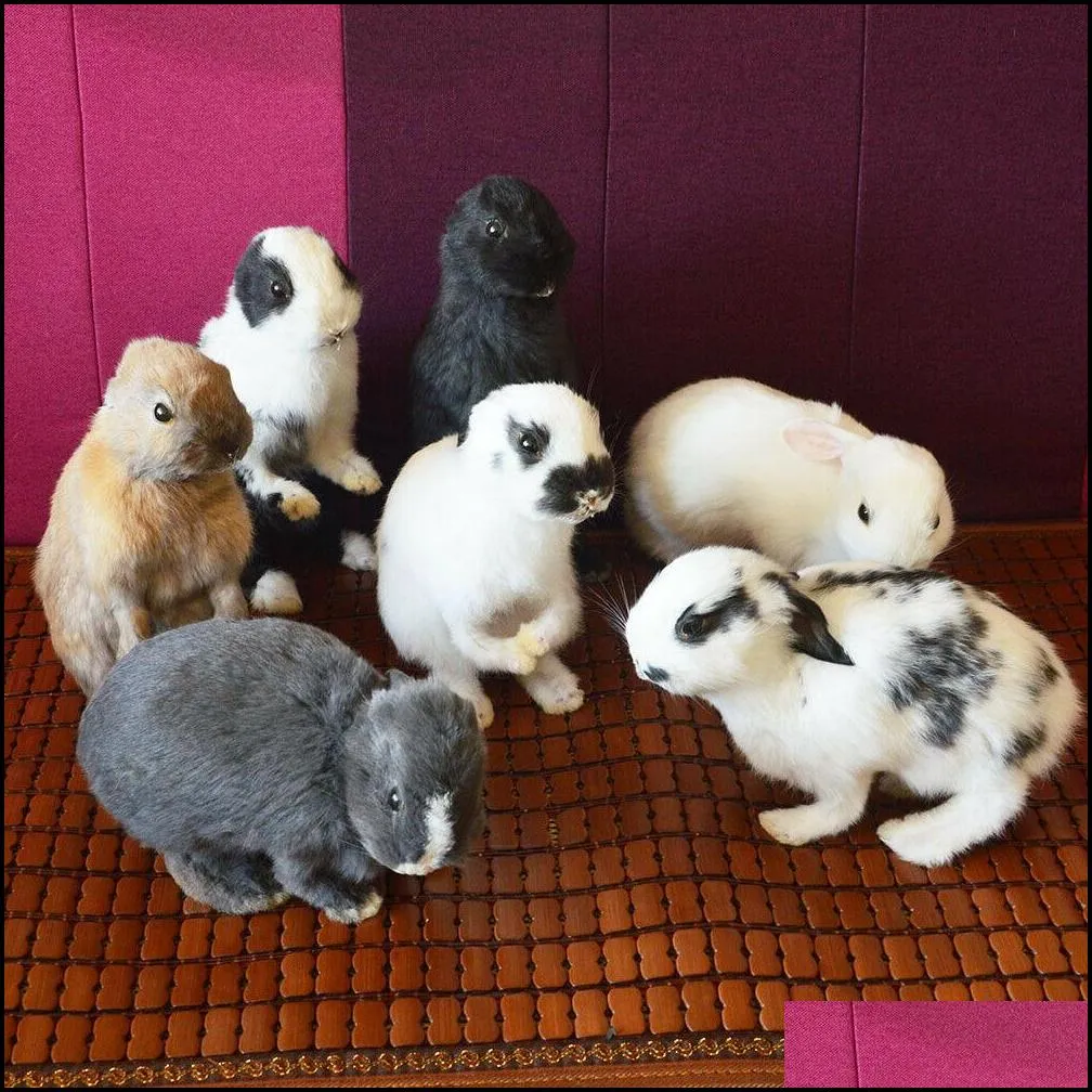 taxidermy stuffing rabbit teaching specimen collection bunny fur home decor 1pcs random t200909