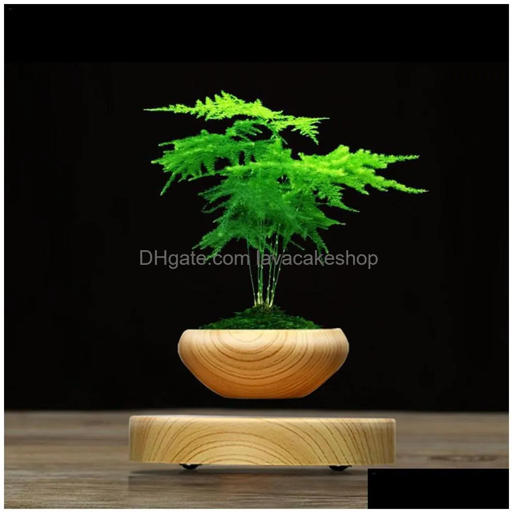 magnetic levitating potted plant air bonsai pot levitation plants planter flower pots succulent plant for home office decor y200723