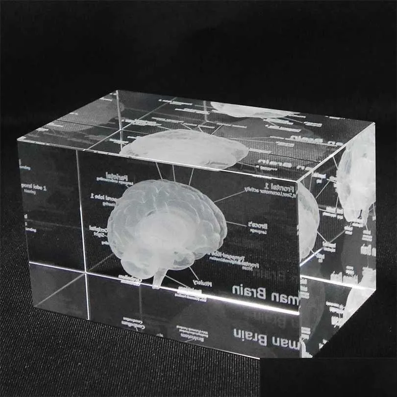 3d human anatomical model paperweight laser etched brain crystal glass cube anatomy mind neurology thinking science gift 211101