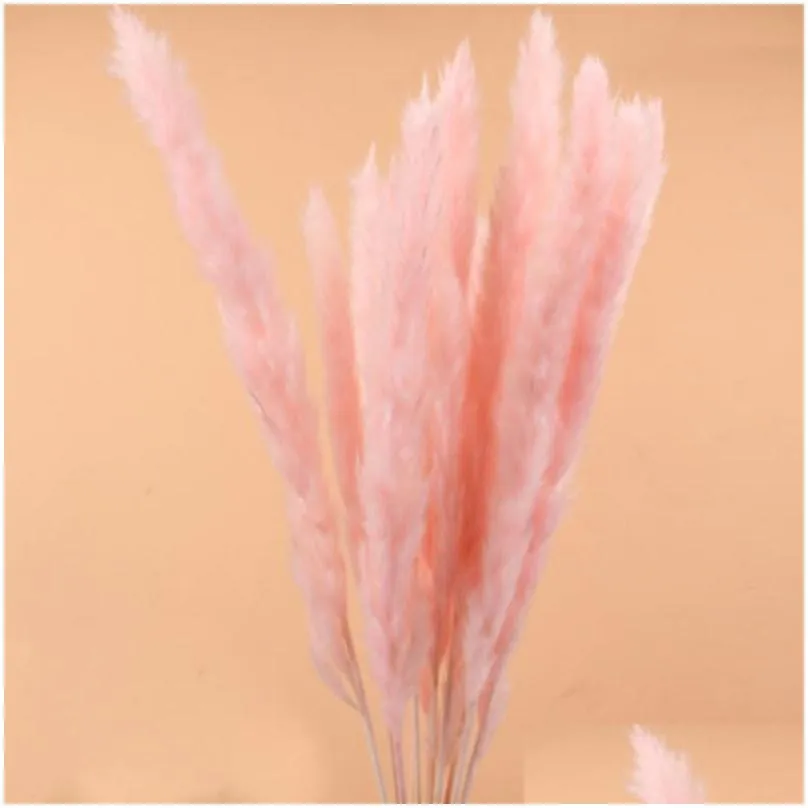 15pcs bulrush natural dried small pampas grass phragmites wedding flower bunch 3 colors for home decor1