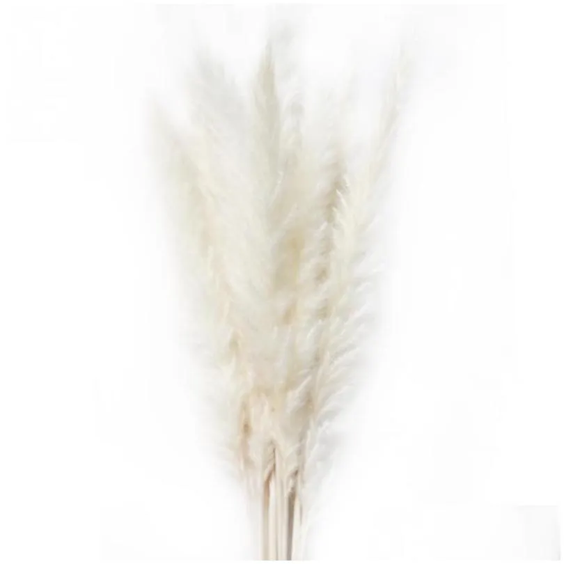 15pcs bulrush natural dried small pampas grass phragmites wedding flower bunch 3 colors for home decor1