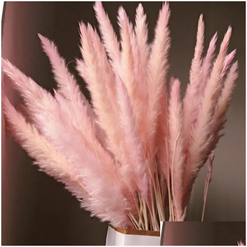 15pcs bulrush natural dried small pampas grass phragmites wedding flower bunch 3 colors for home decor1