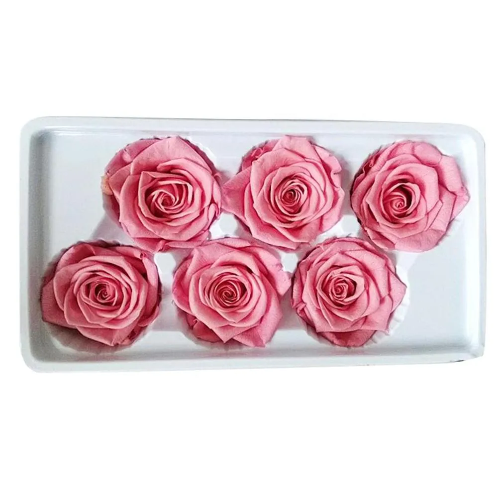6pcs/box preserved  rose flower heads class b 56cm roses dried flower handmade diy eternal flower arrangement y0104