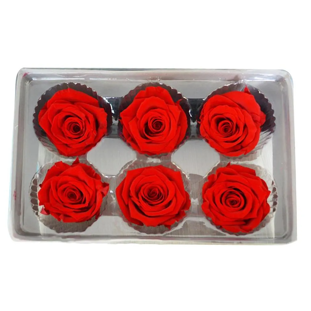 6pcs/box preserved  rose flower heads class b 56cm roses dried flower handmade diy eternal flower arrangement y0104