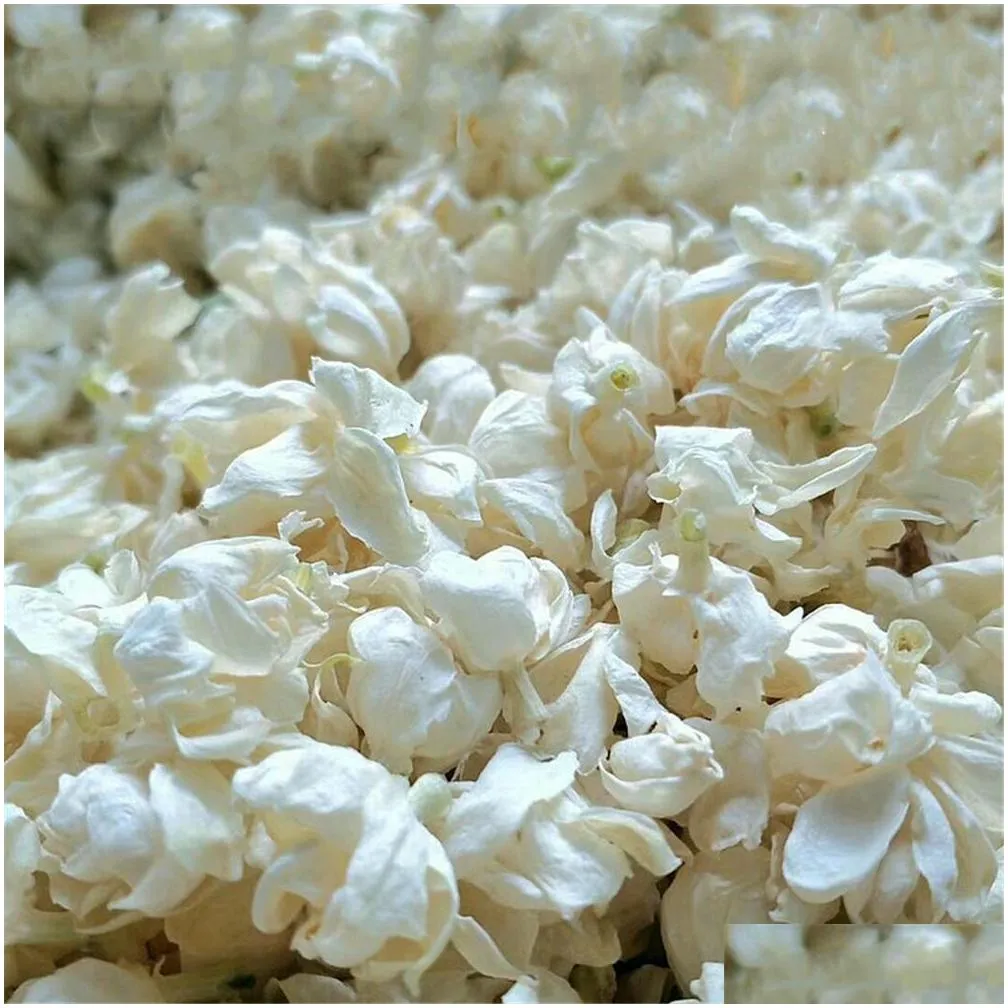 50g premium dried pure jasmine flower buds dried snowball jasmine bud y1128