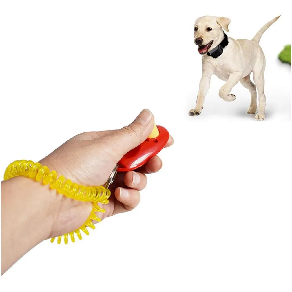 Dog training supplies clearance wholesale