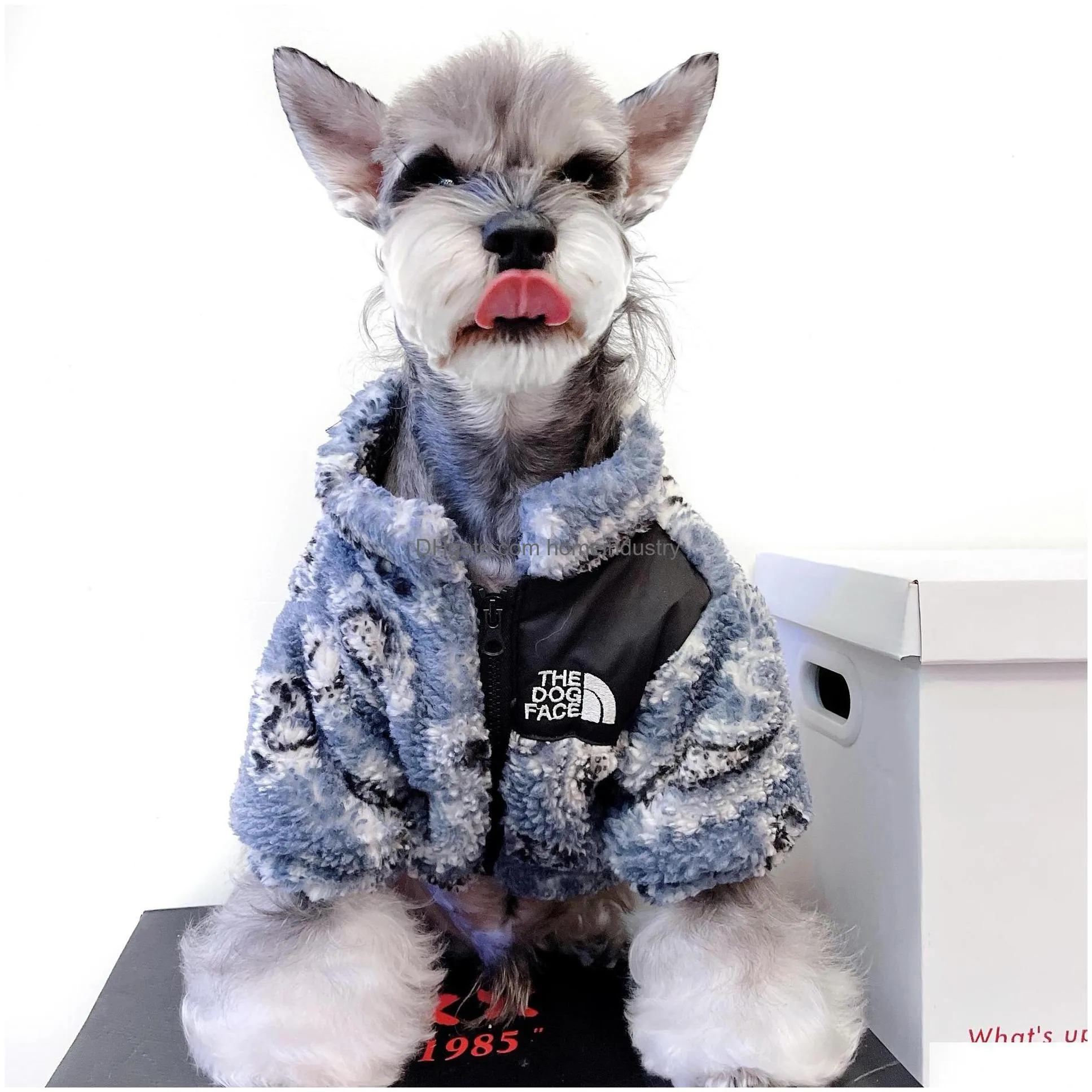 designer pet dog apparel ins trend brand to keep warm two legs wear for middle small dogs smlxlxxl