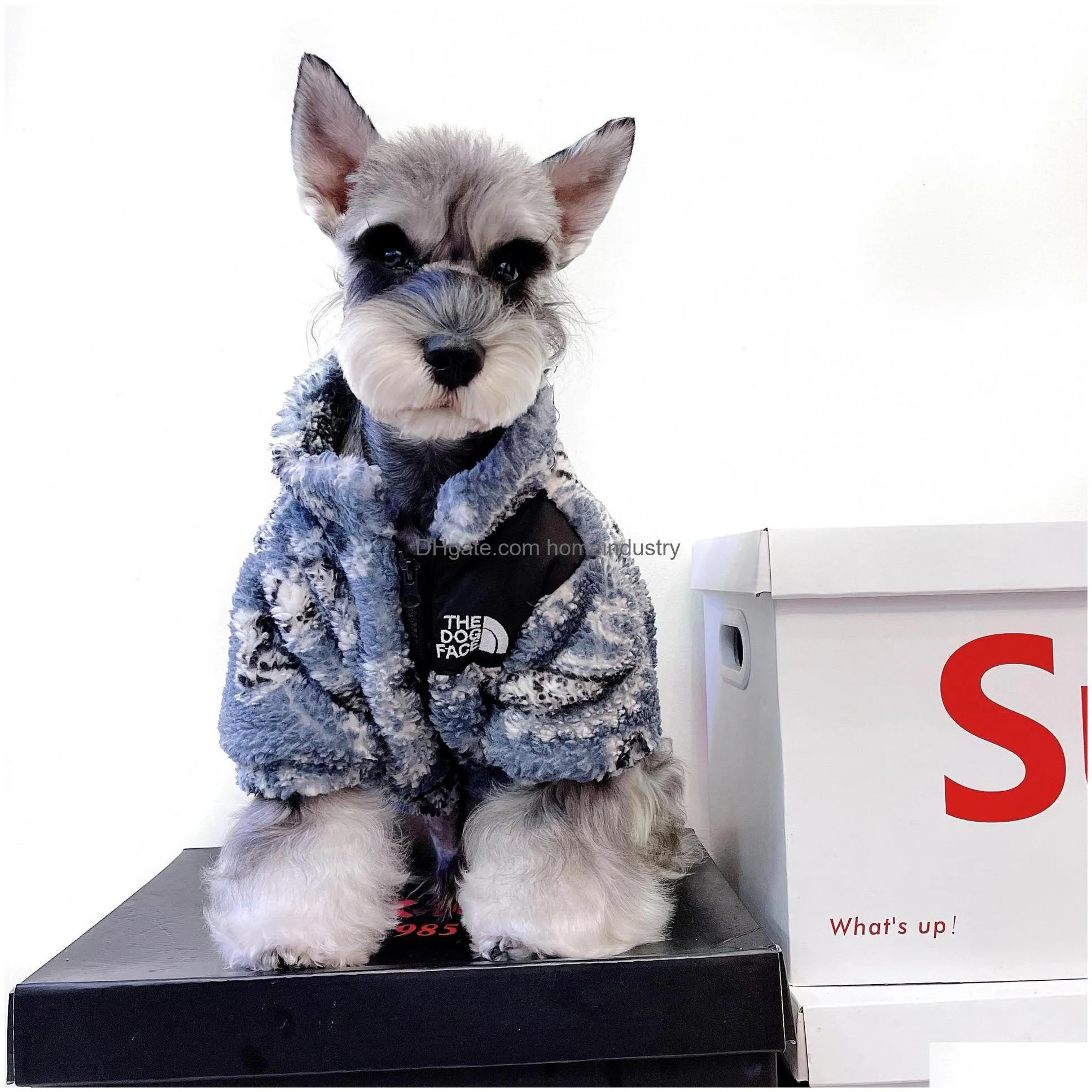 designer pet dog apparel ins trend brand to keep warm two legs wear for middle small dogs smlxlxxl