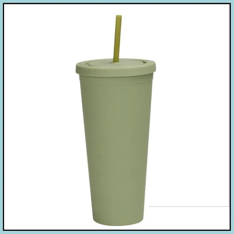 22oz colored acrylic cups 700ml plastic tumbler with lids straws double wall matte plastic tumbler reusable cup fy4489