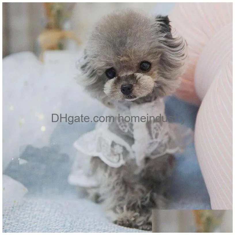 luxury designer pet supplies dog apparel lace breathable teddy cat legs wear dog clothes xxsxssmlxlxxl