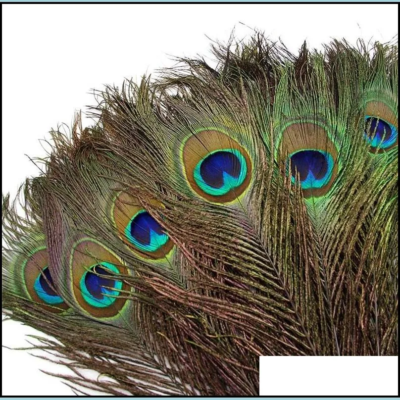 2530 cm peacock feathers natural peacock feather diy jewelry decorative elegant decorative materials 200 pcs/lot