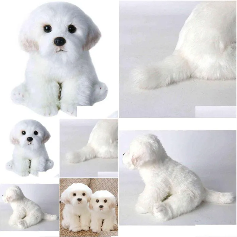 2 sizes maltese stuffed dog cuddle cute simulation pets fluffy baby dolls birthday gifts for ldren bichon  puppy gift j220729