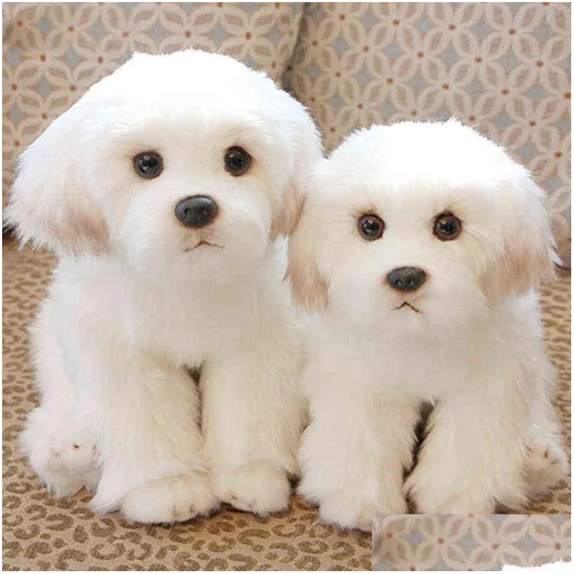 2 sizes maltese stuffed dog cuddle cute simulation pets fluffy baby dolls birthday gifts for ldren bichon  puppy gift j220729