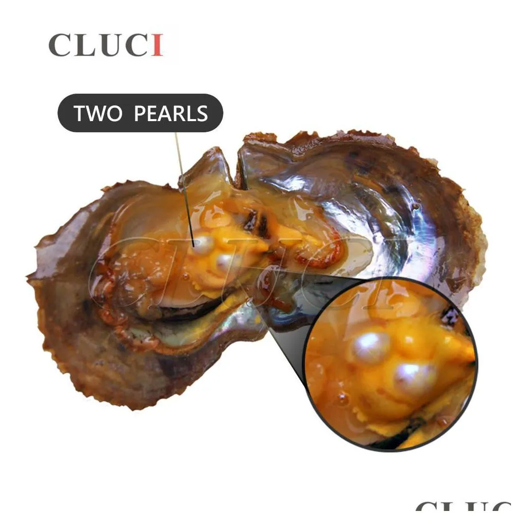 cluci 10pcs 67mm oval freshwater oyster with twins for women jewelry real vacuum packed cultured pearl oysters t200507