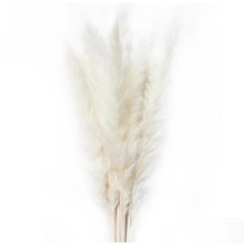 decorative flowers wreaths 15pcs brush natural dried small pampas grass phragmites flower bunch 3 colors for home decor1 d dhkzh