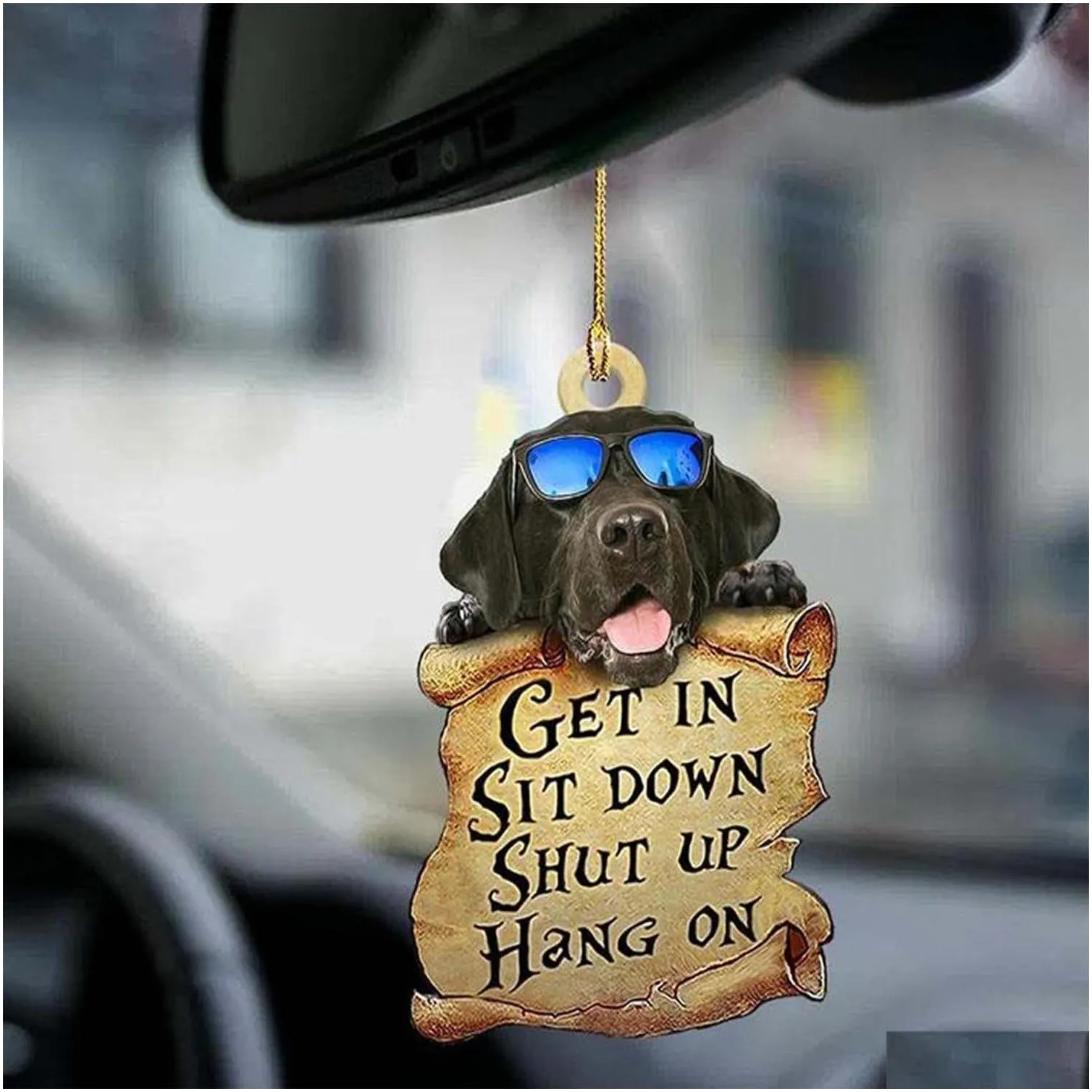 cat lover get in sit down shut up hang on car hanging ornament home door decorations crafts